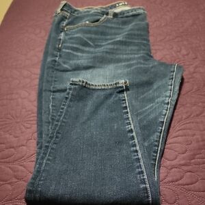 American Eagle Outfitters Deep Blue Women's Jeggings